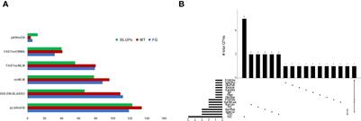 Breeding effects on durum wheat traits detected using GWAS and haplotype block analysis